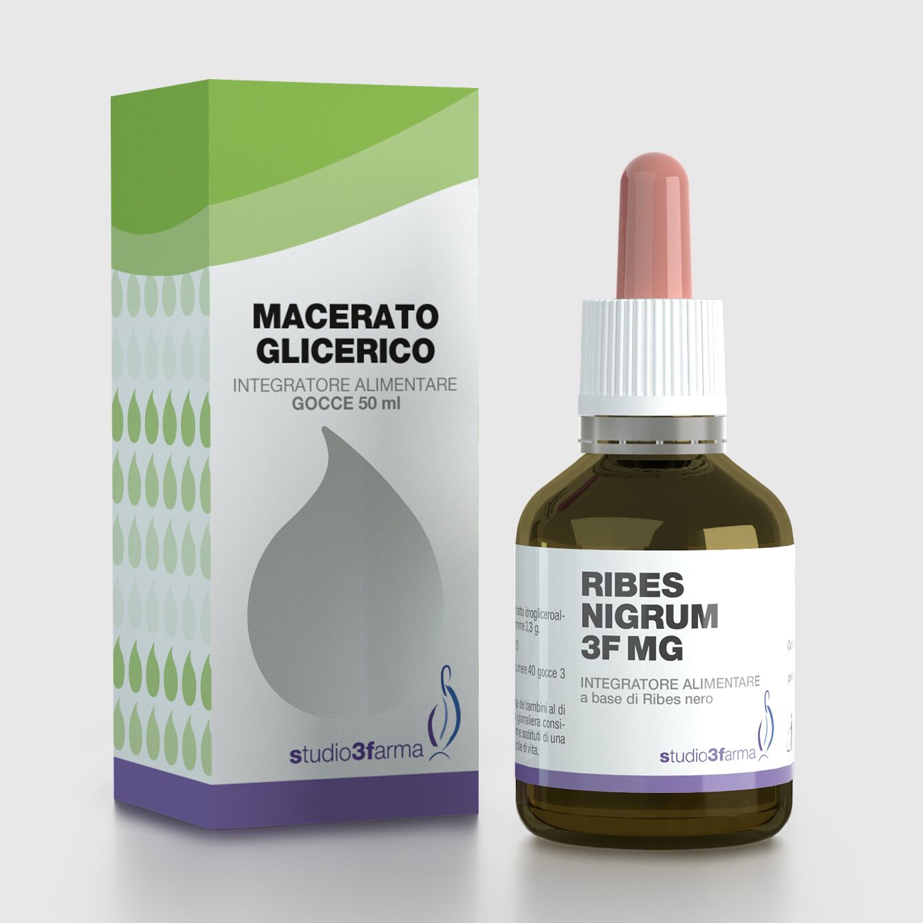 Ribes nigrum 3F MG